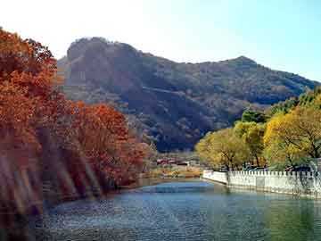 正版澳门天天开彩大全，深圳机场到罗湖口岸